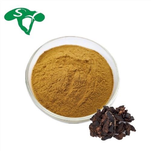 Rehmannia Root Extract